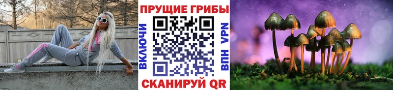 Галлюциногенные грибы Magic Shrooms  blacksprut tor  Калязин 